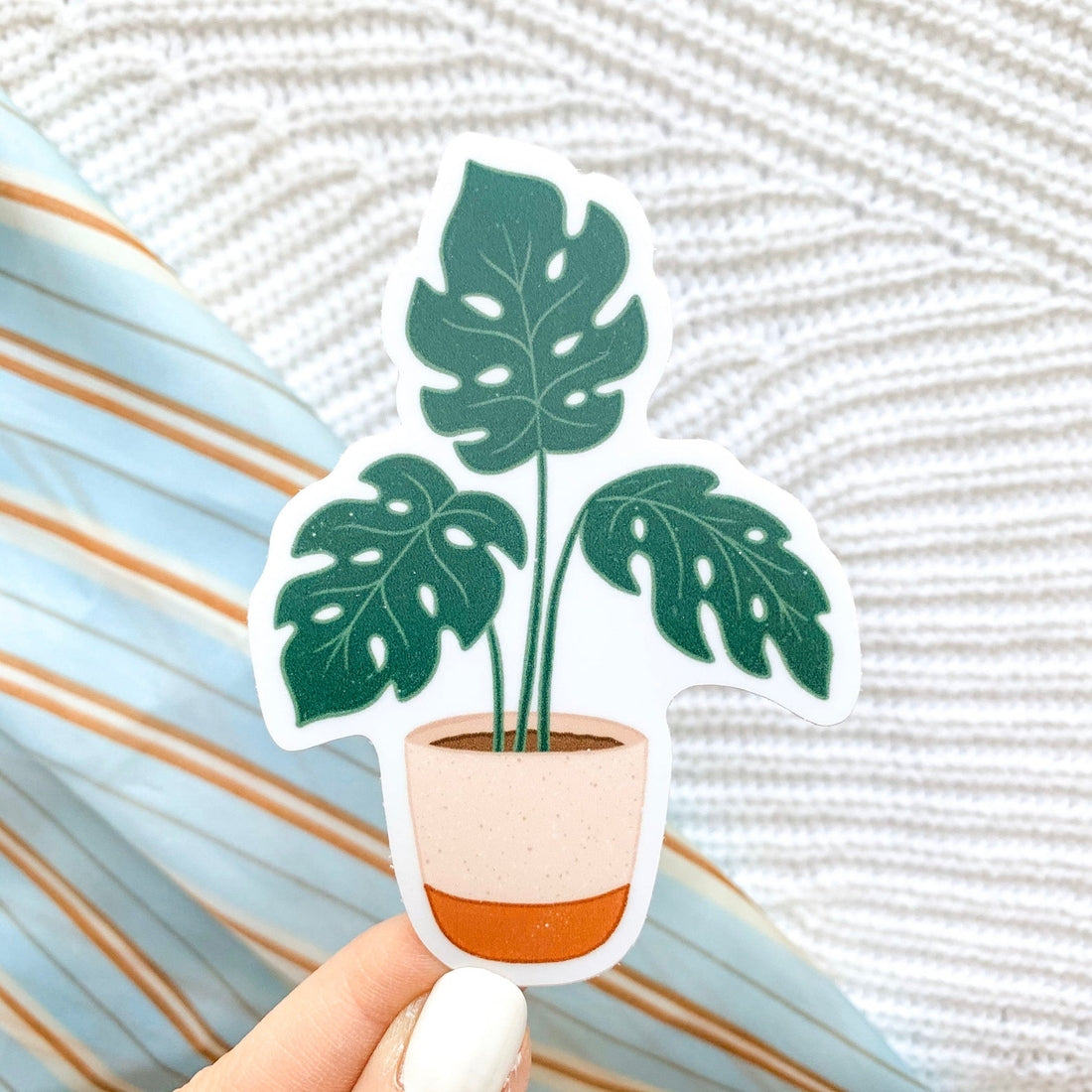Potted Monstera Plant Sticker